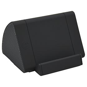 VYBZ Wireless Induction Speaker with Charging Cable