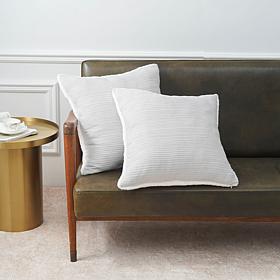 Warm & Coxy Luxe Chenille 2-piece 20" x 20" Decorative Pillow Set